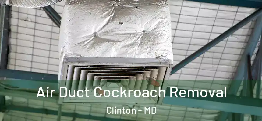  Air Duct Cockroach Removal Clinton - MD