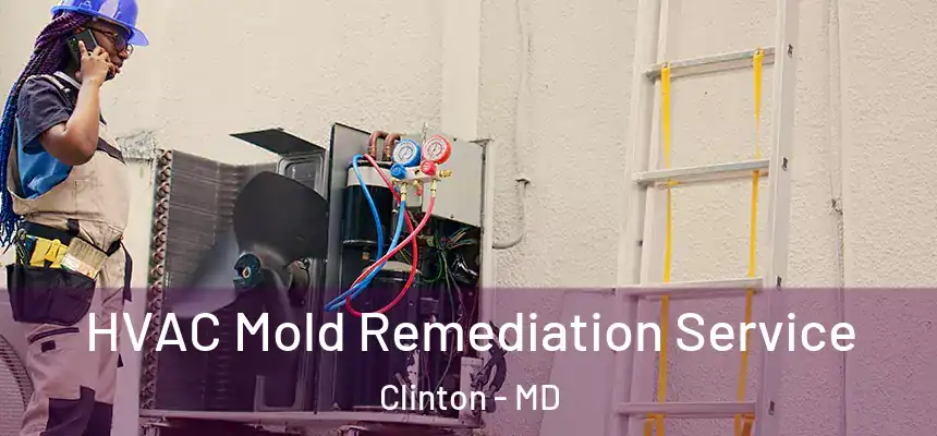  HVAC Mold Remediation Service Clinton - MD
