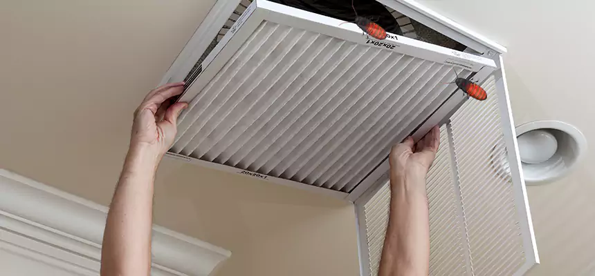 Our Insect Removal from Air Ducts Services in Clinton, MD