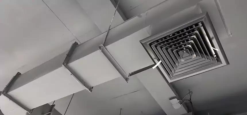 Our Pest Removal From Ducts Services in Clinton, MD