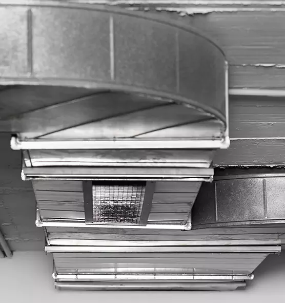 Professional Air Duct Pet Hair Removal in Clinton, MD