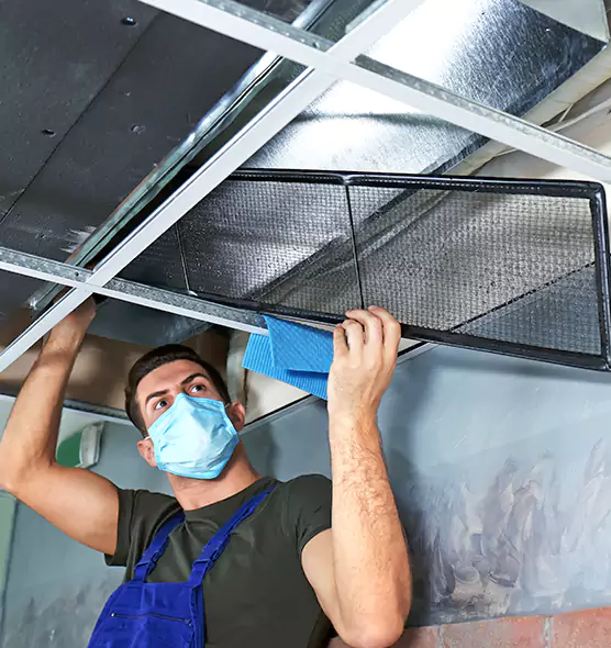 Professional Air Duct Pollen Cleaning in Clinton, MD