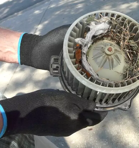 About Air Duct Rat Removal in Clinton, MD