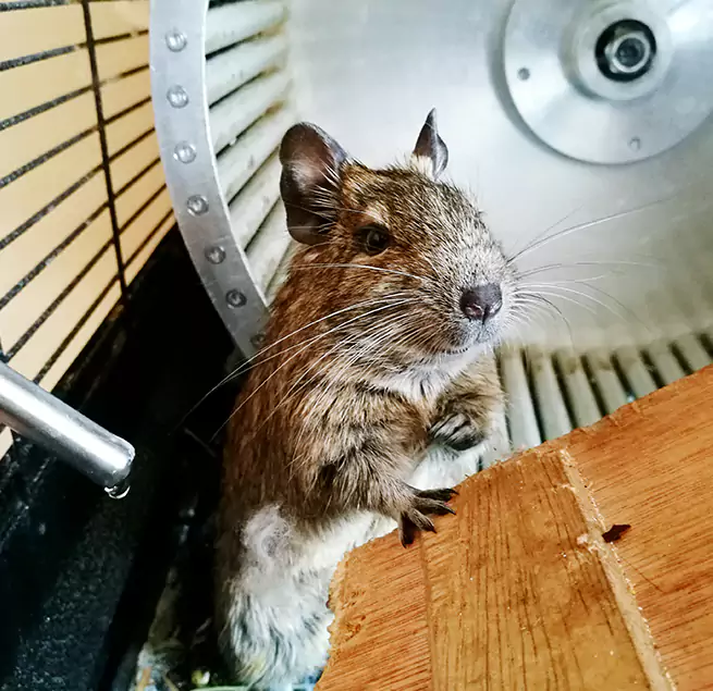 Why Homeowners & Businesses Trust Us Clinton, MD?