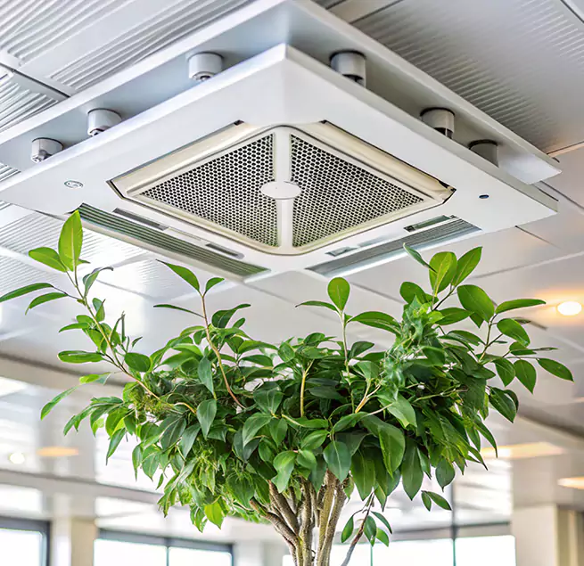 Why Homeowners & Businesses Trust Us in Clinton, MD